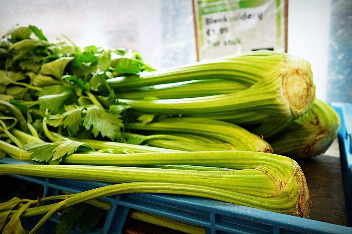 10 Health Reasons to Eat More Celery