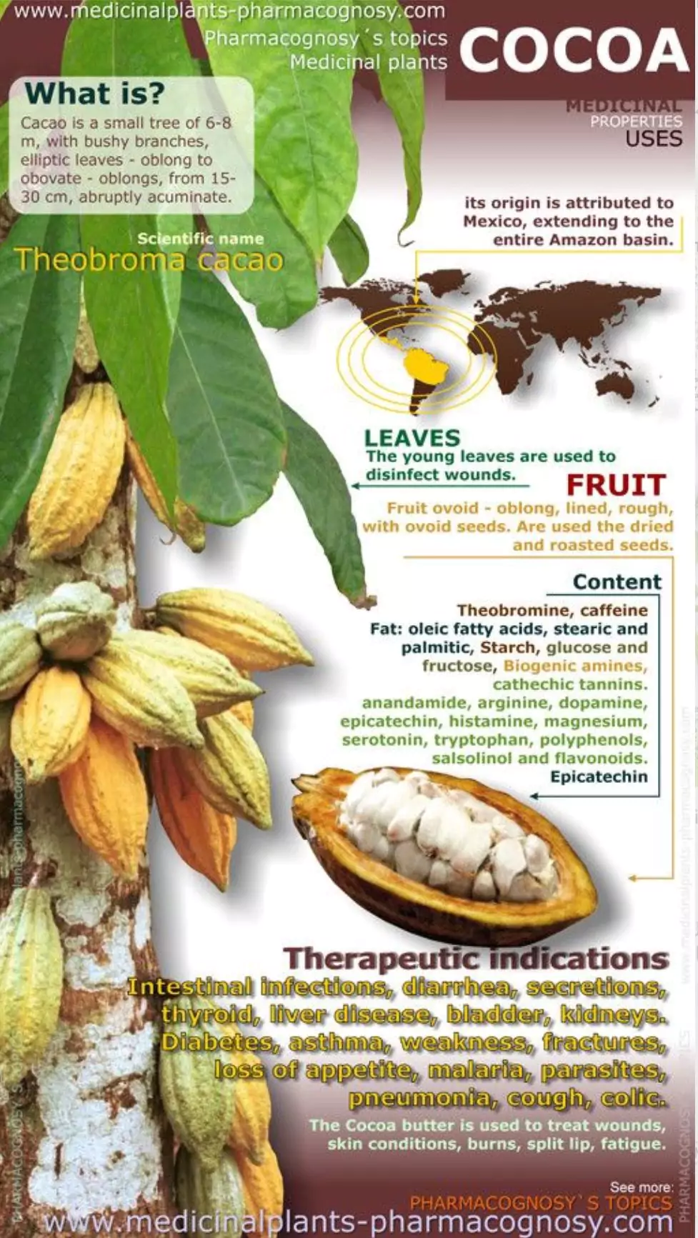 Cacao Benefits