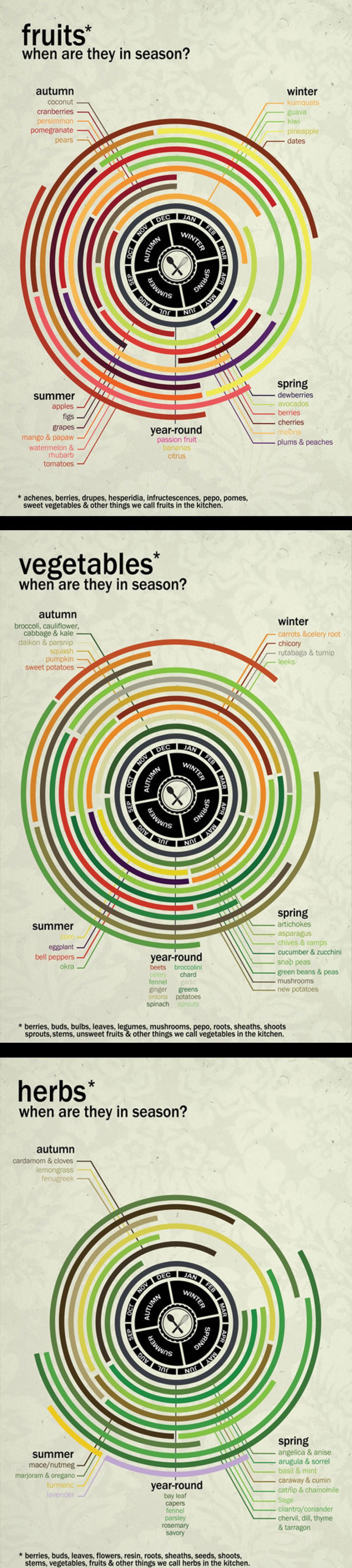 Guide To Seasonal Fruits And Vegetables