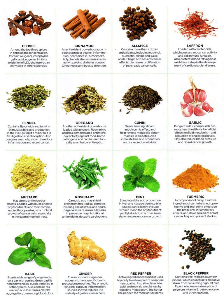 Health Benefits Of Different Herbs - 42 Food Infographics to Help You