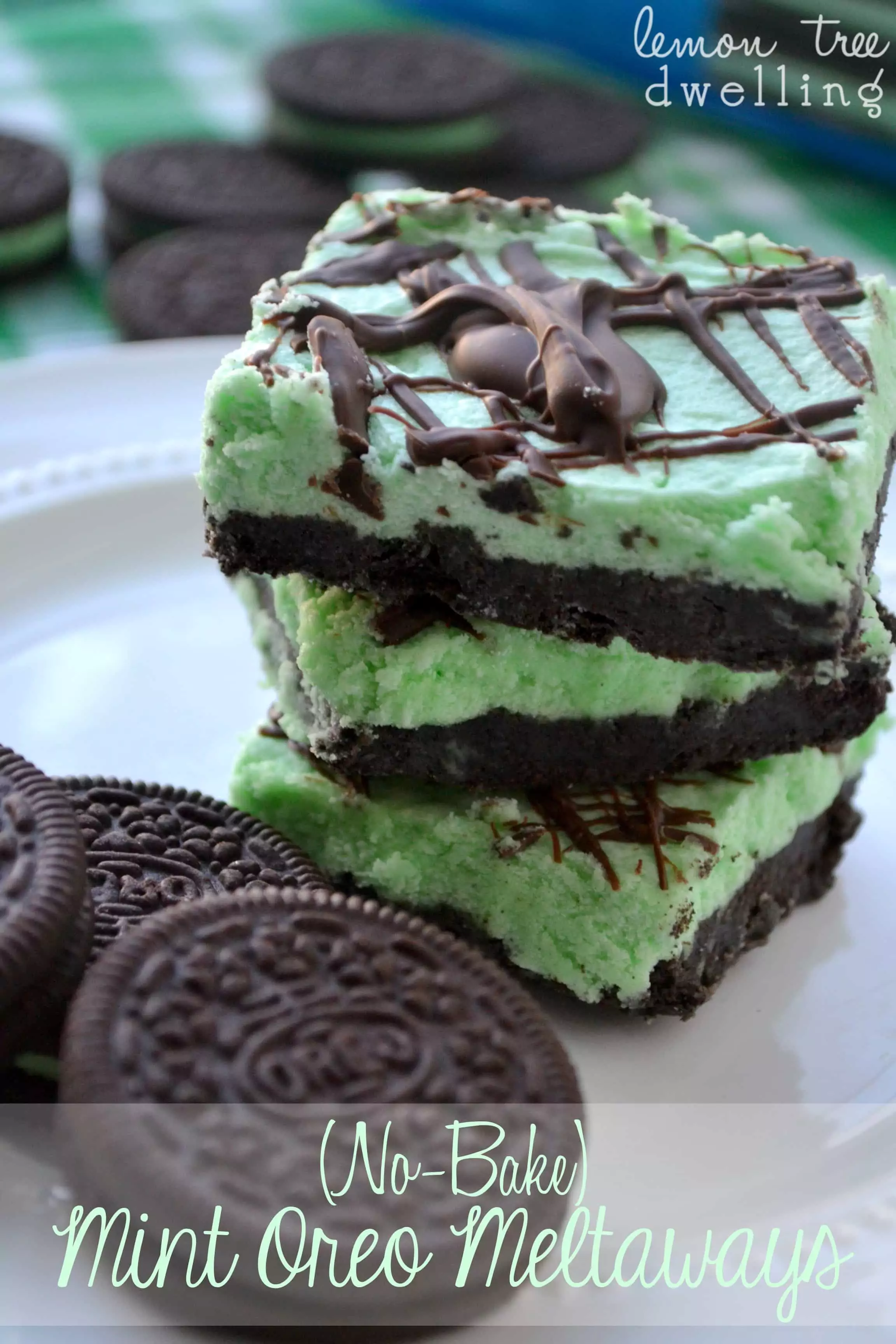 Mint And Chocolate