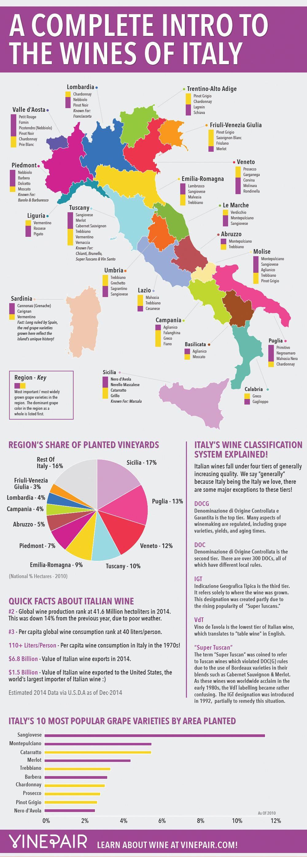 A Complete Guide To The Wines Of Italy