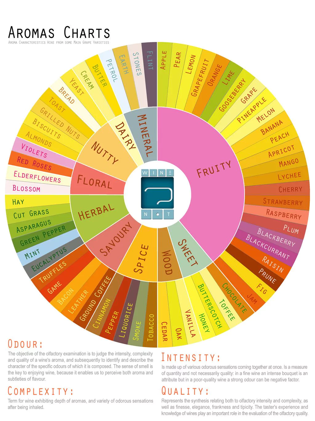 A Beginner's Guide To Wine 39 Infographics for Wine Lovers
