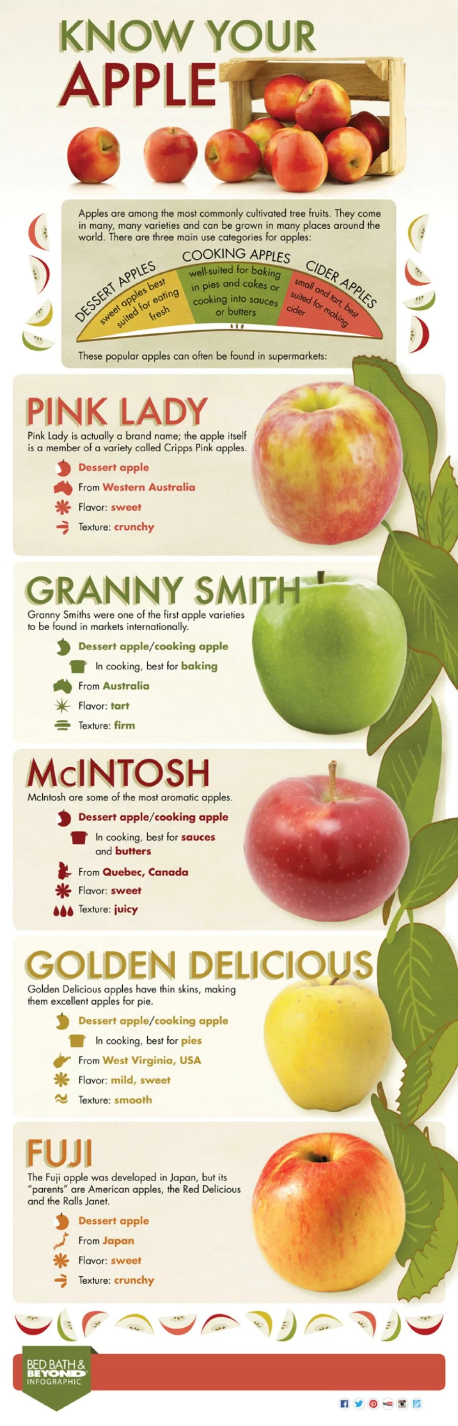 Know Your Apples