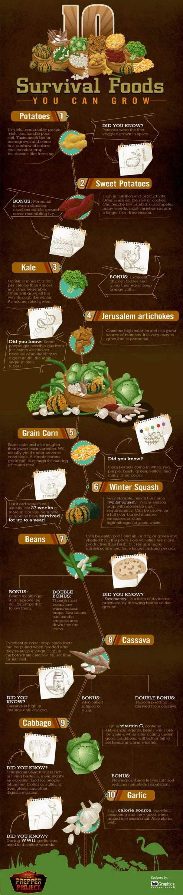 Survival Foods