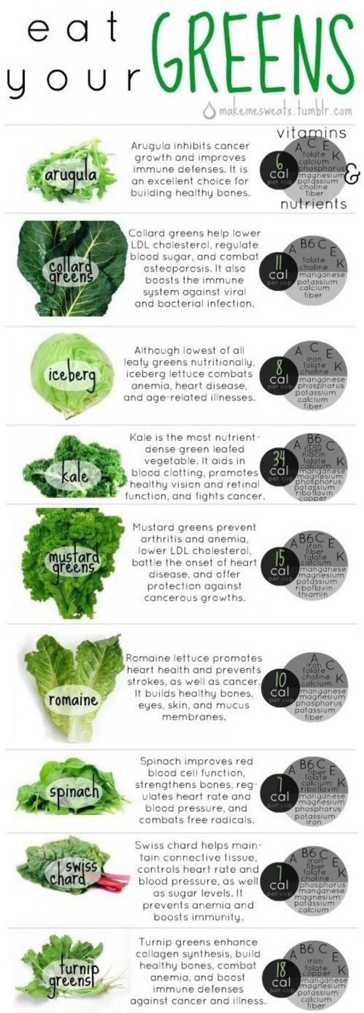 17. Your Basic Guide To Green Veggies 48 Infographics about Healthy