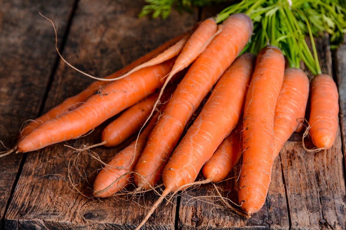 Carrots - 15 Foods That Should Be on Your Grocery List