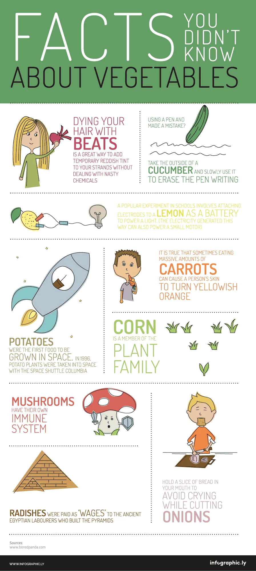 Facts About Vegetables