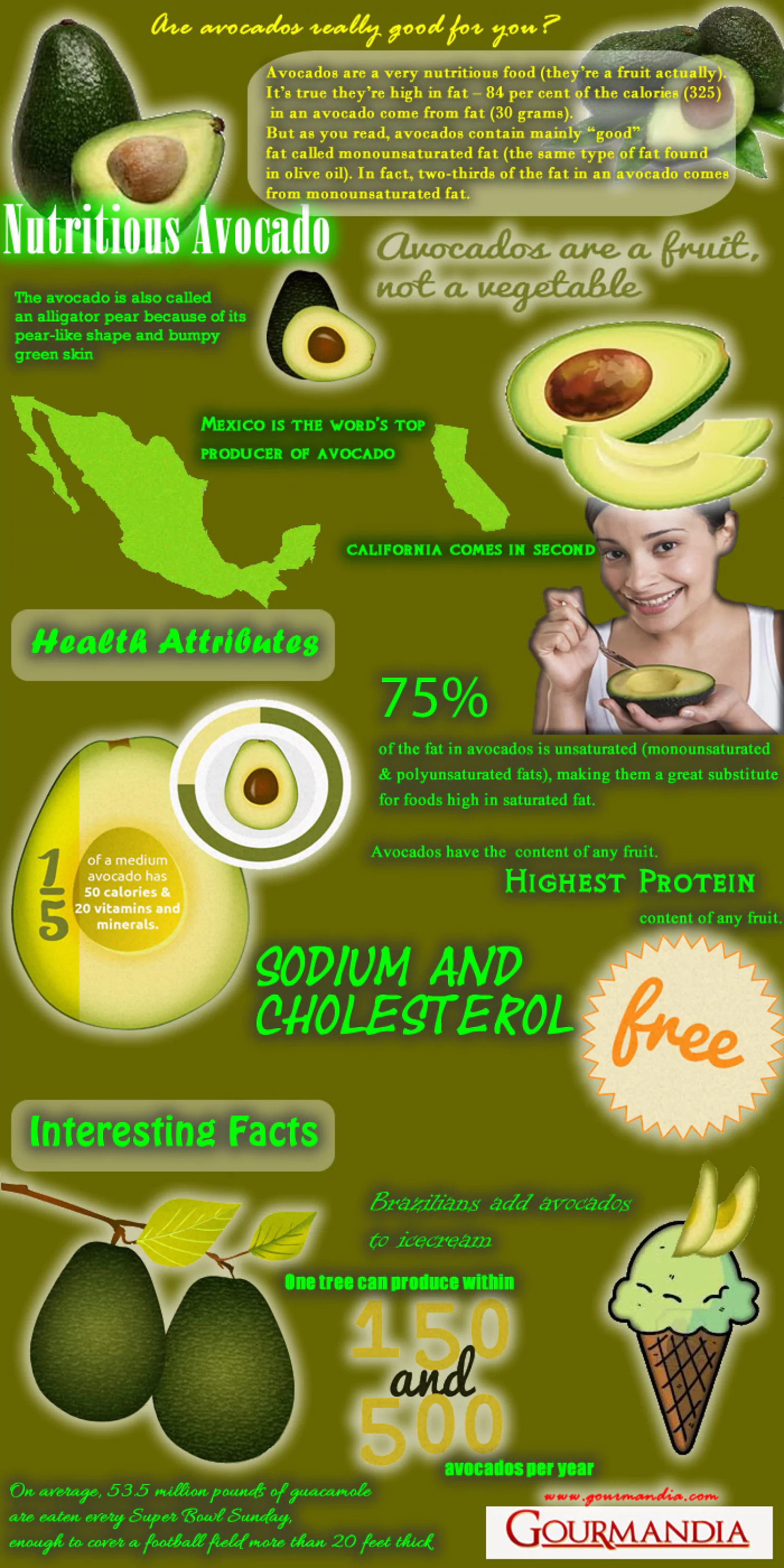 Nutritious Avocado
