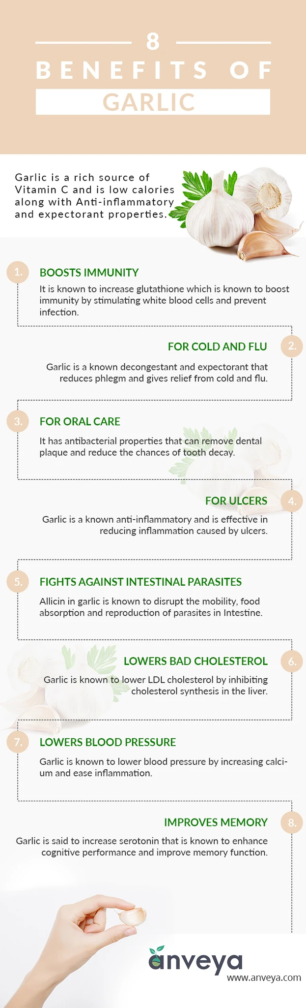 8 Health Benefits of Garlic