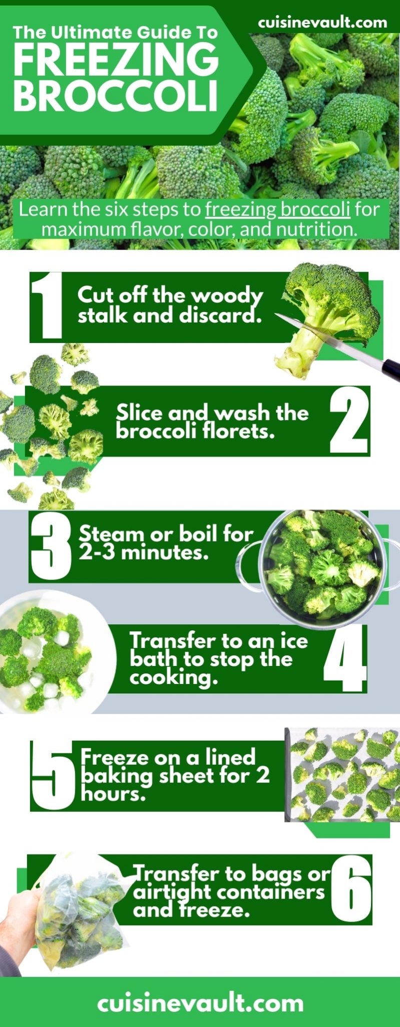 5. How To Freeze Broccoli – A Beginner's Guide - Broccoli: Health