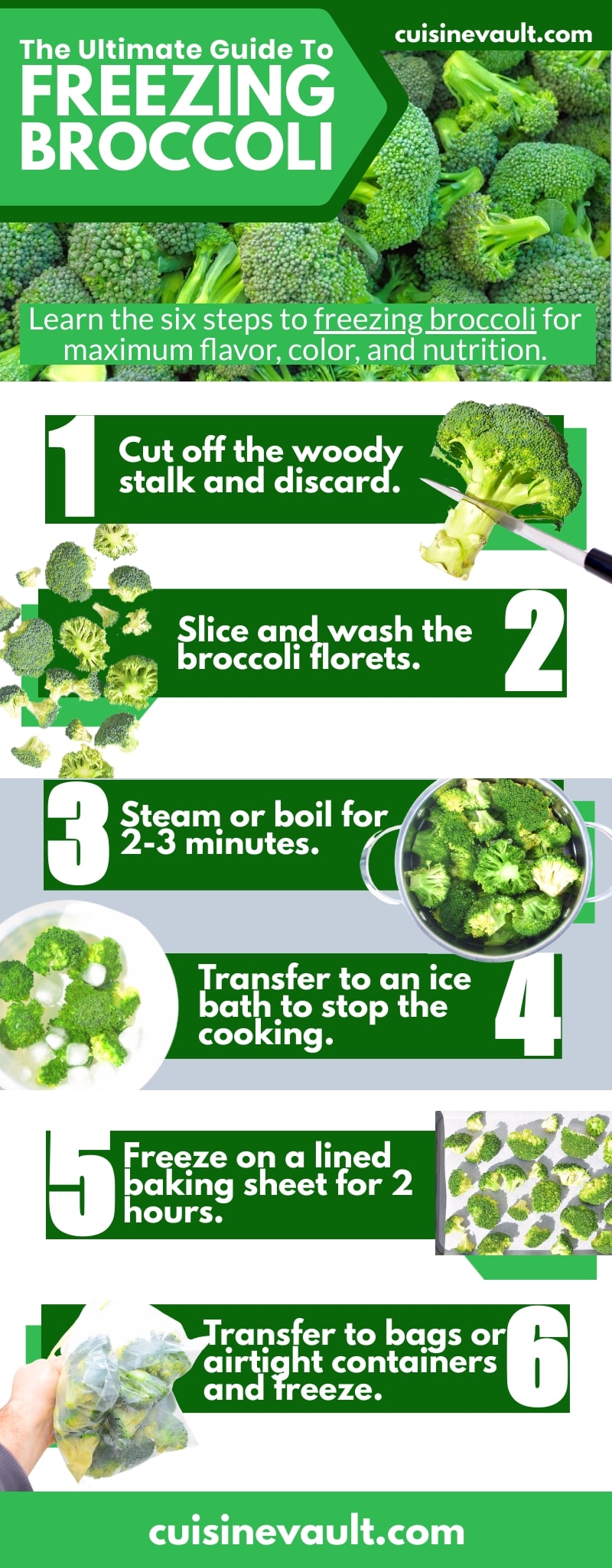 How To Freeze Broccoli – A Beginner’s Guide