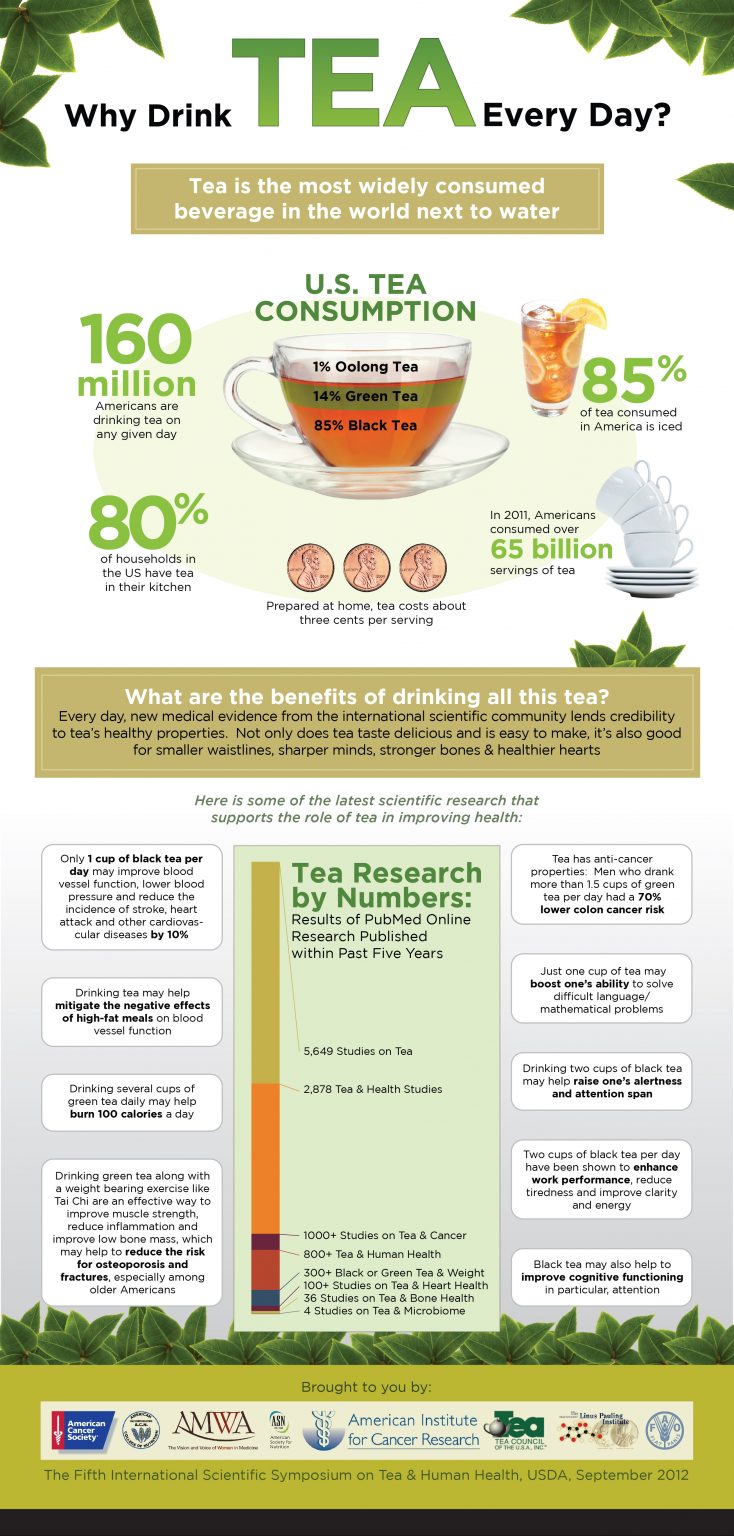 Why Drink Tea Every Day Everything You Need To Know About Tea 35 Infographics 5530