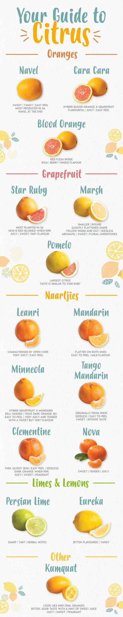 Your Guide To Citrus