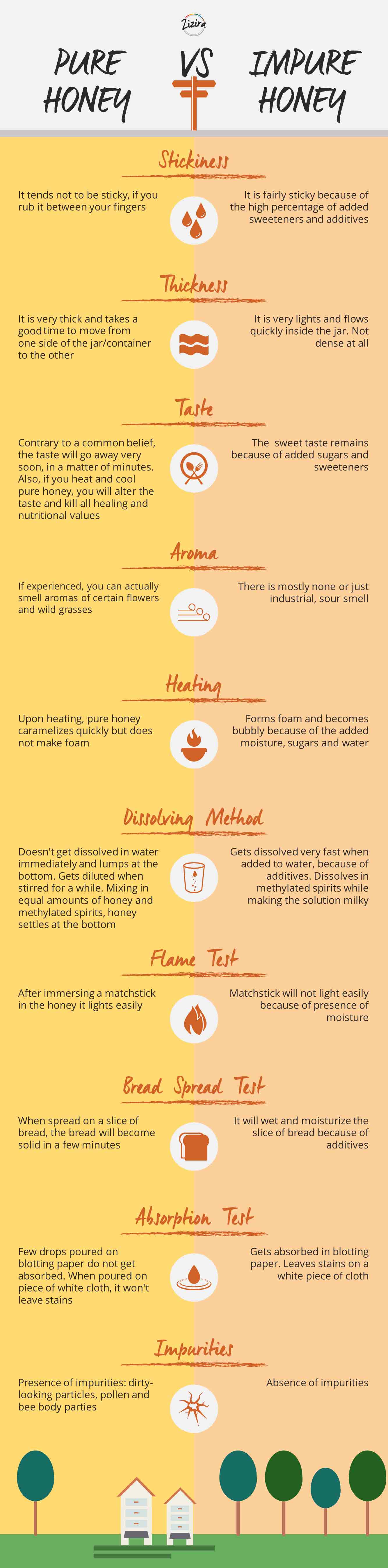 Know How to Test for Pure Honey