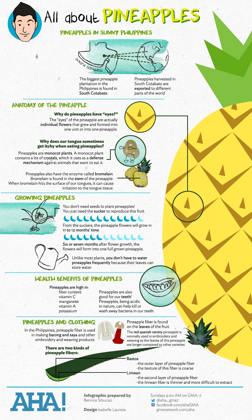 All About Pineapples