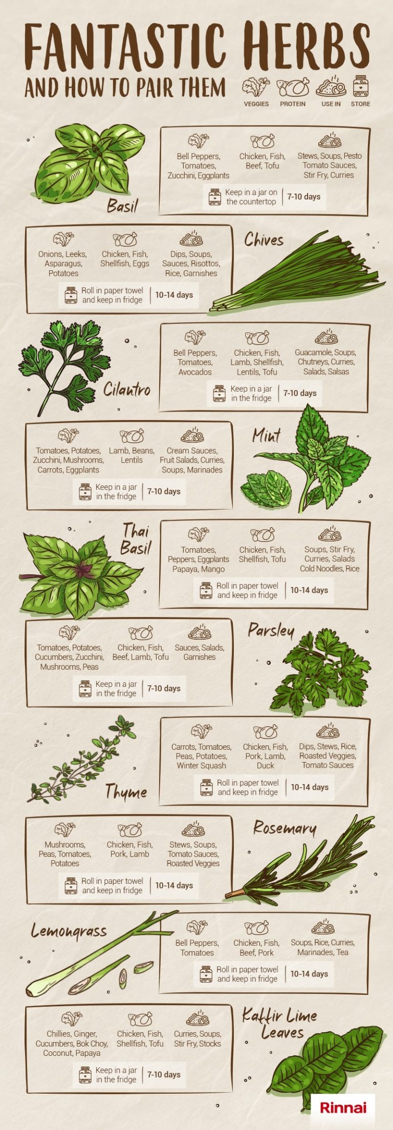 Fantastic Herbs Pairing Everything You Need To Know About Herbs 24