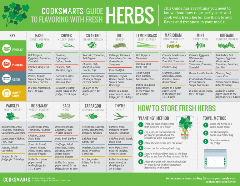  Everything You Need to Know About Herbs (24 Infographics)