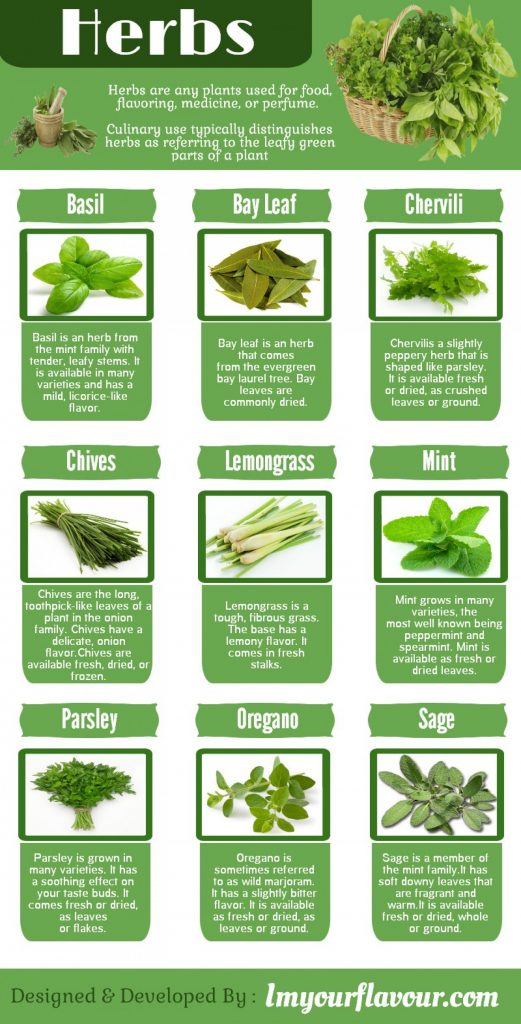 Everything You Need to Know About Herbs (24 Infographics) Part 7