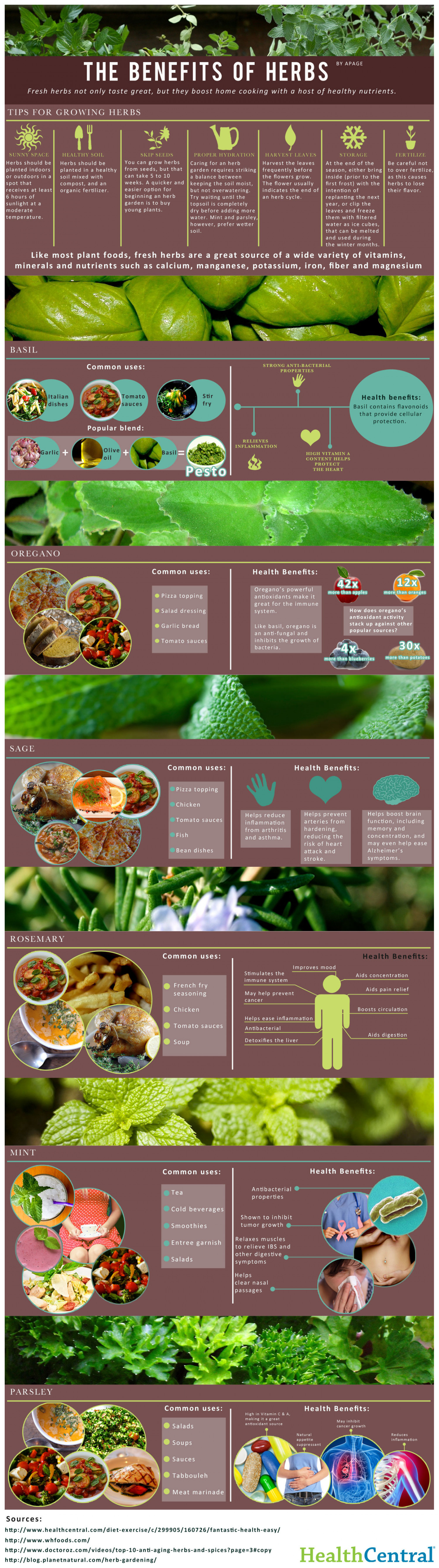 The Benefits of Herbs