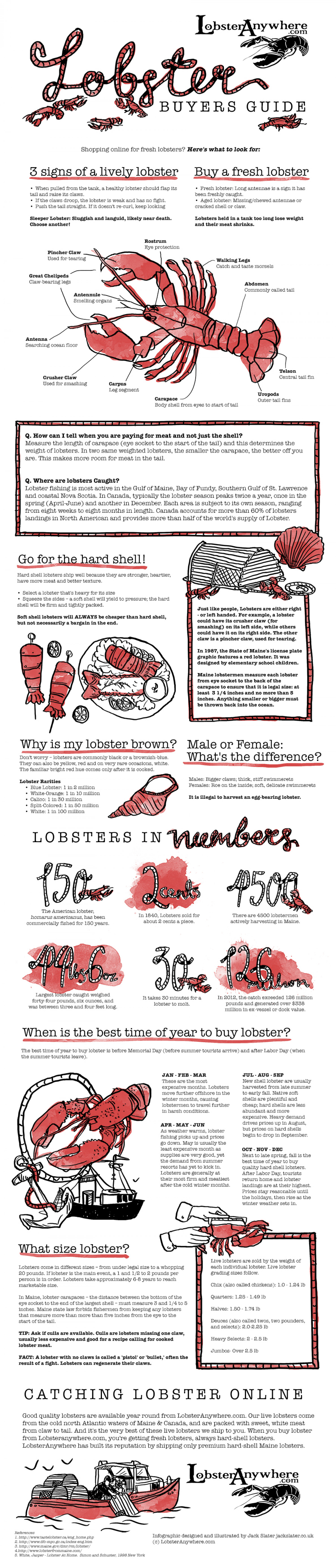 The Complete Guide for Buying a Fresh Lobster