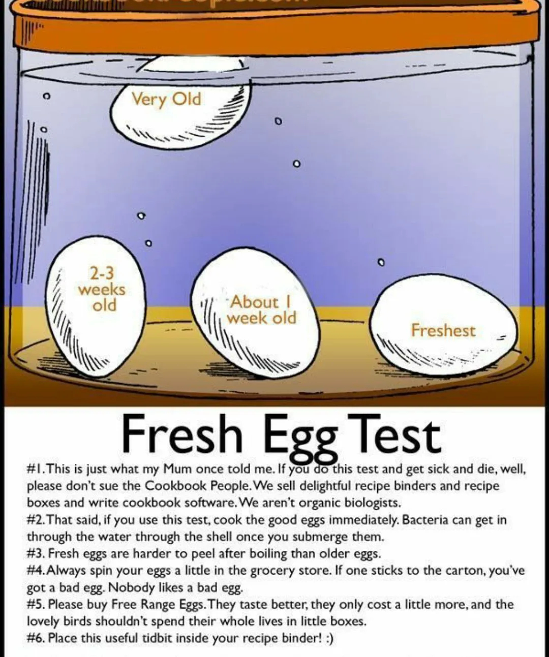 Fresh Egg Test