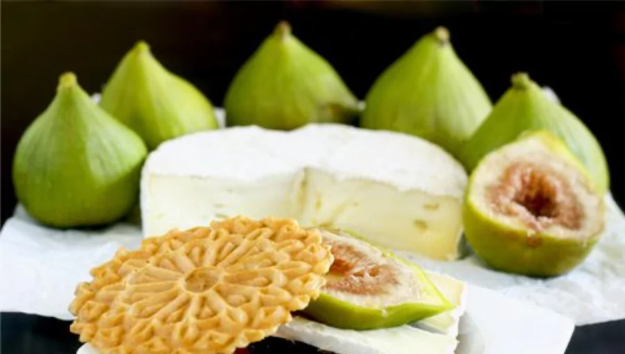 Back to School Lunch Ideas: Fig Cheese Appetizer Recipe