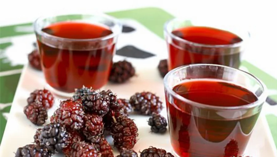 Recipe For Mulberry Juice