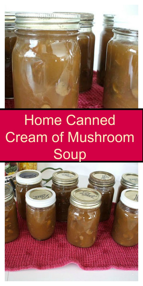 Recipe For Make Your Own Cream Of Mushroom Soup