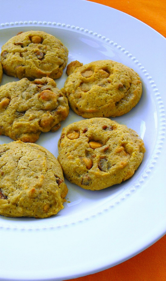Recipe For Pumpkin Cookies with Butterscotch Morsels