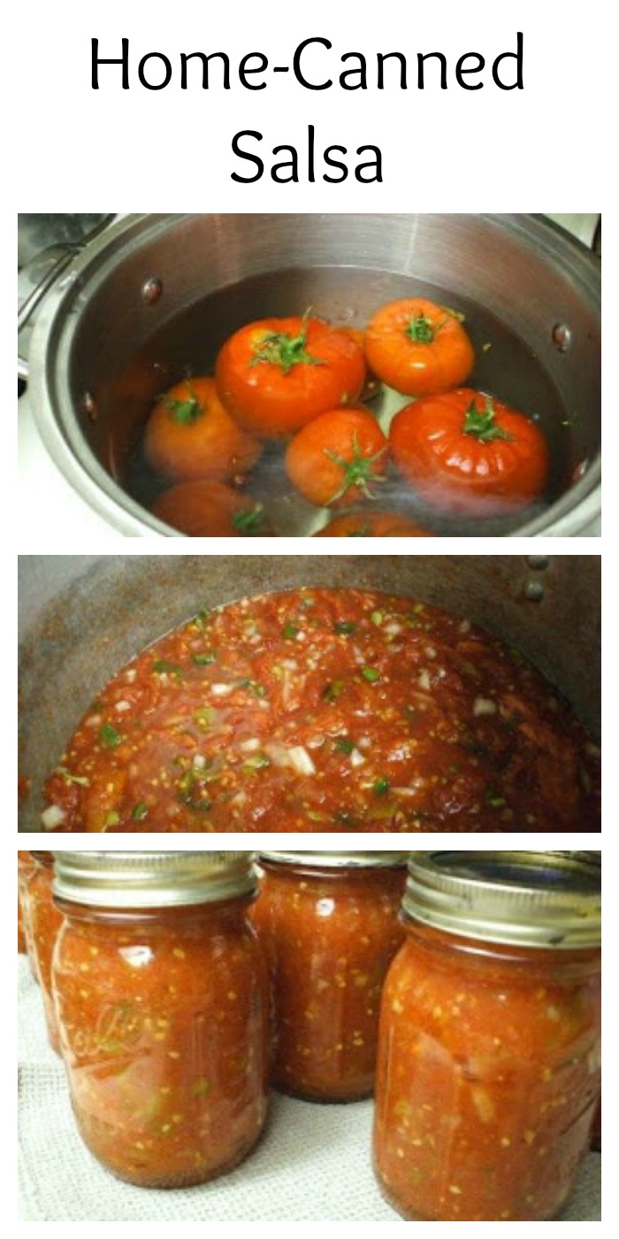 Recipe For Home Canned Salsa