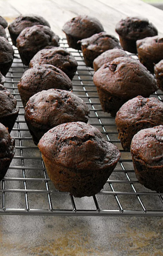 Recipe For Copycat Costco Chocolate Chip Muffins (mini sized)
