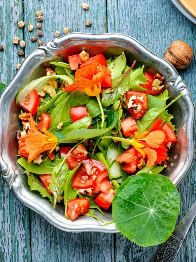 Top 15 Best Summer Salad Recipes | Food